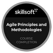 Agile Principles and Methodologies_n