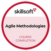 AgileMethodologies