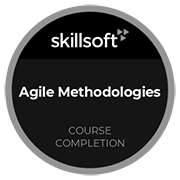 AgileMethodologies_n