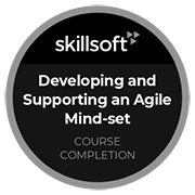 Developing and Supporting an Agile Mind-set_n